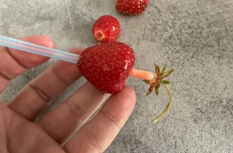 Strawberry De-Stalker