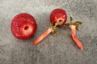 Strawberry De-Stalker
