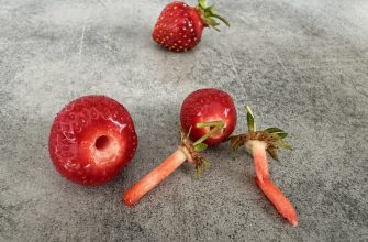 Strawberry De-Stalker