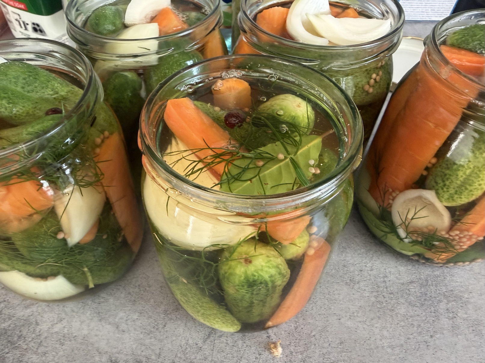 Jars of pickled vegetables containing cucumbers, carrot pieces, onion slices, and dill in brine with visible mustard seeds and peppercorns in the liquid.