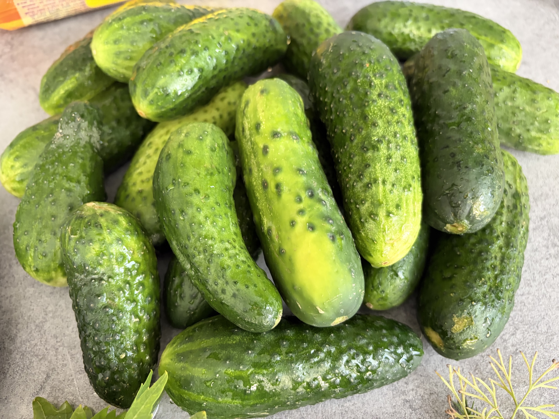 Fermented gherkins