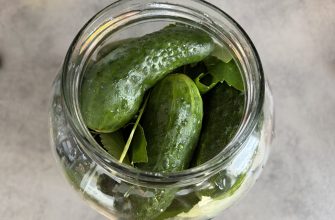 Fermented gherkins