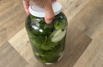Fermented gherkins