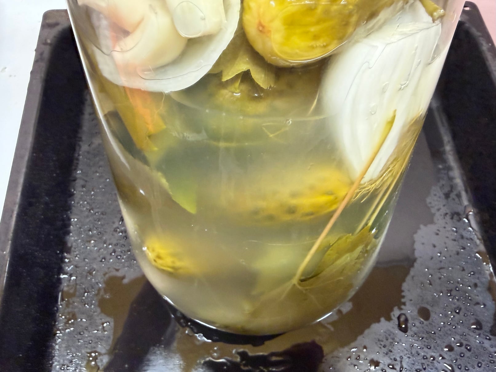 Fermented gherkins