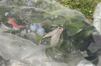 Mesh cover