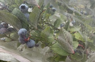 Mesh cover