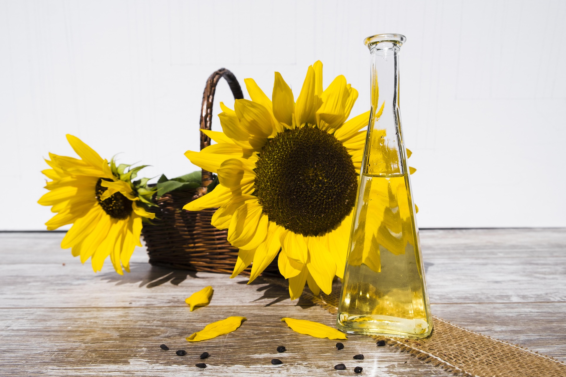 Sunflower oil