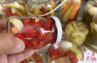 Hand holding a small glass jar filled with sliced red peppers and seeds, with other pickled jars blurred in the background.