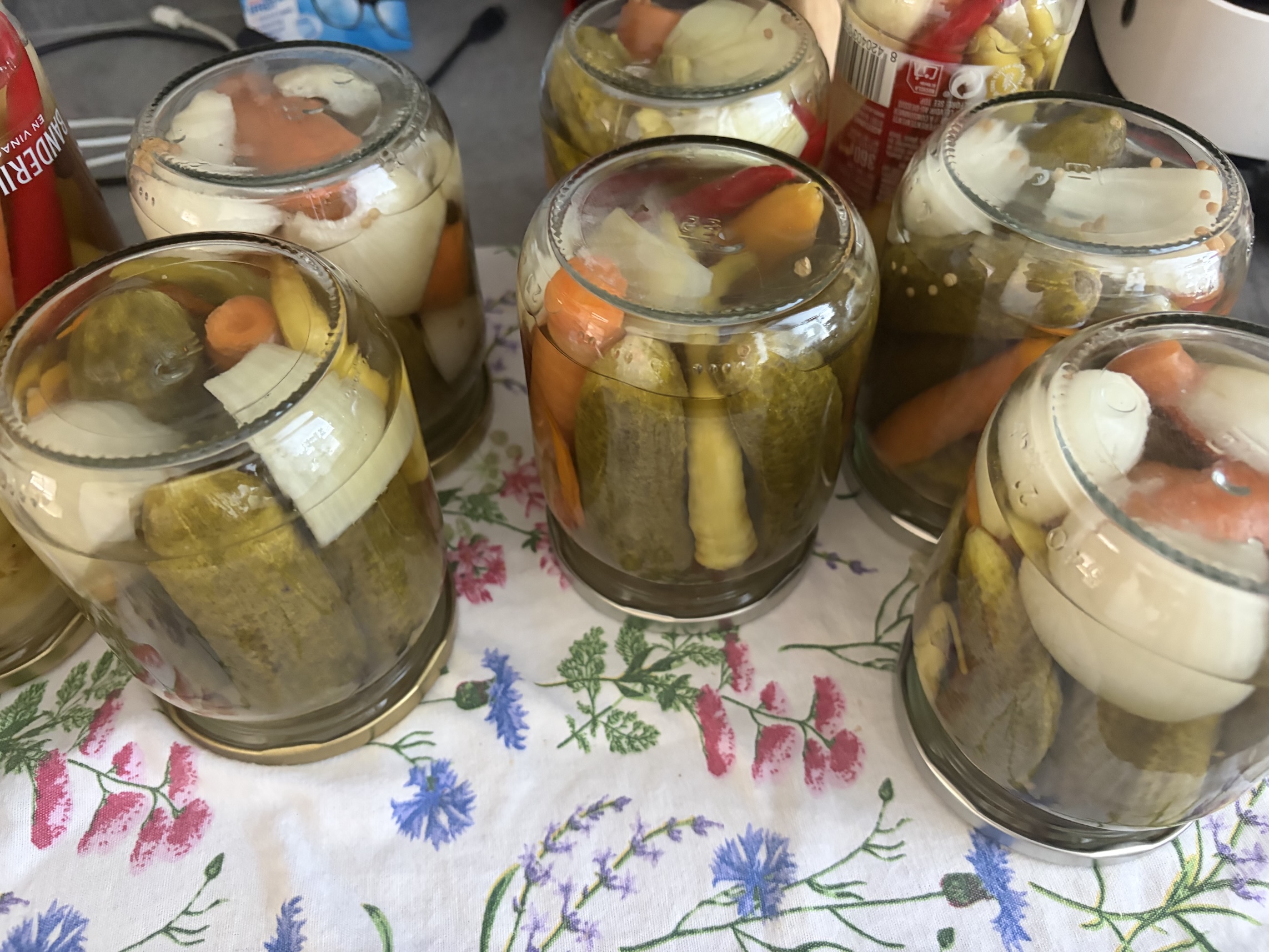 Preserving peppers and gherkins