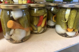 Preserving peppers and gherkins