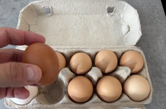 Eggs