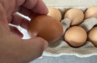 Eggs