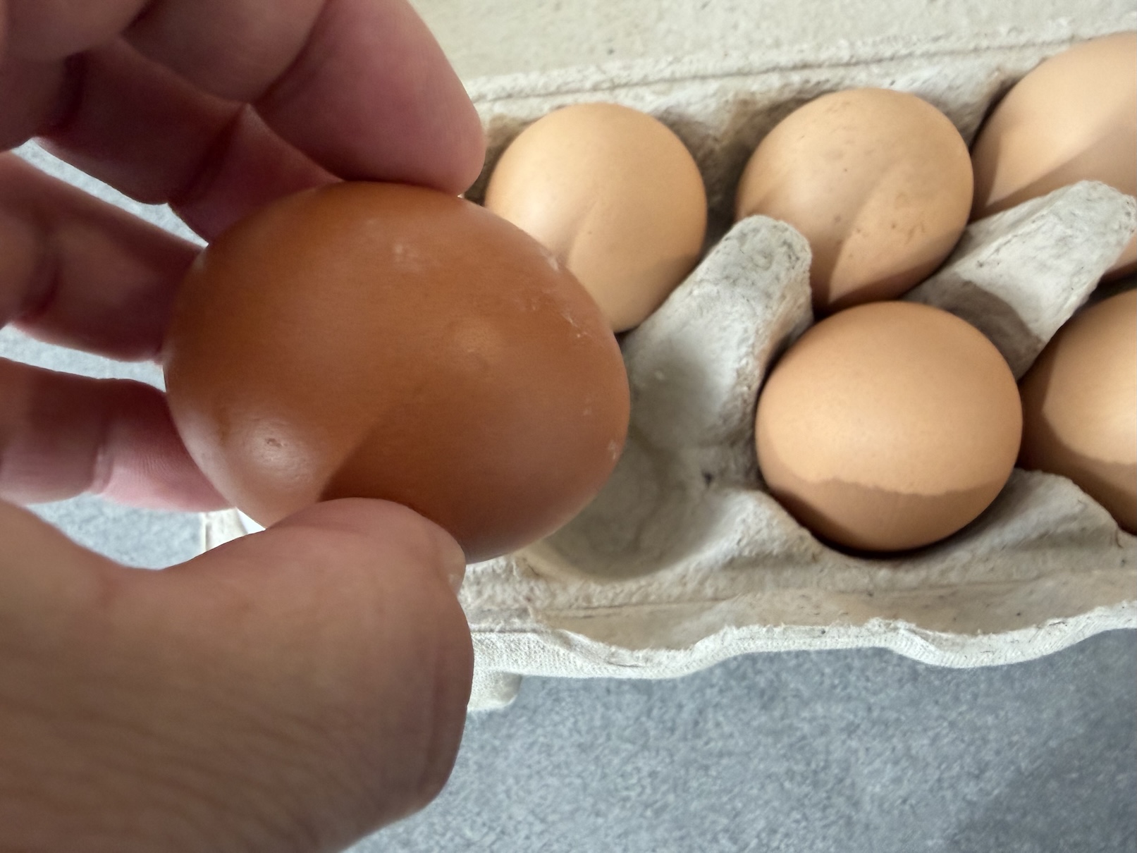 Eggs