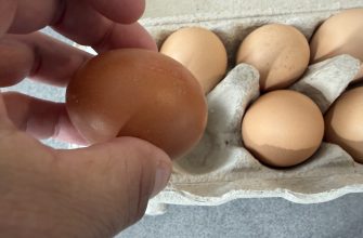 Eggs