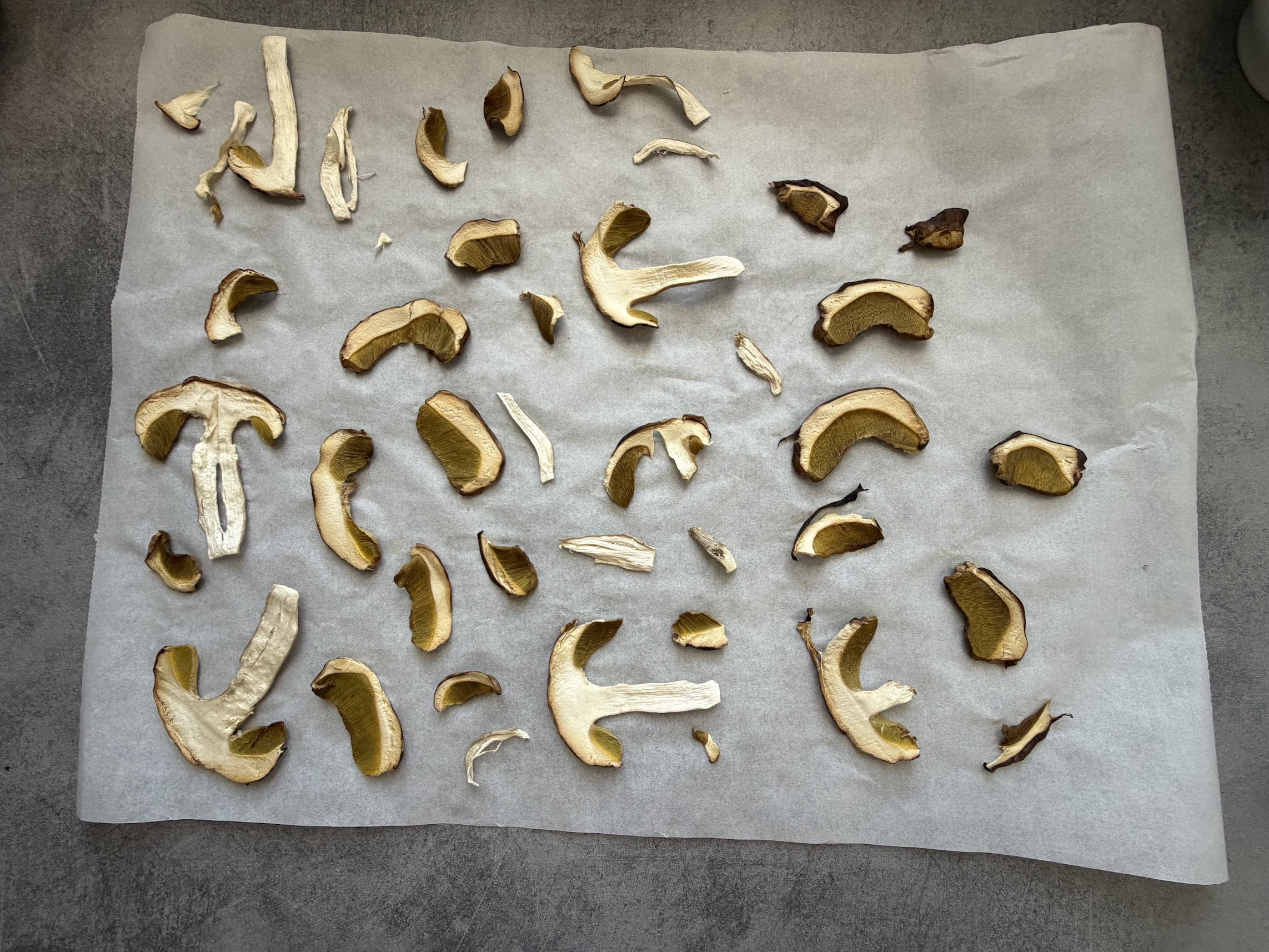 Drying mushrooms