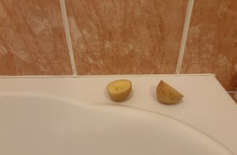 Halved potato
