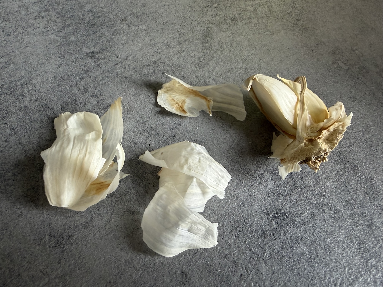Garlic skins