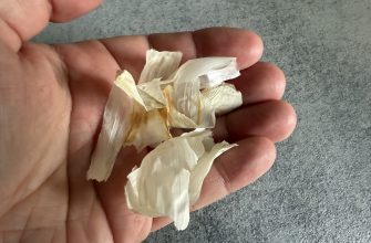 Garlic skins