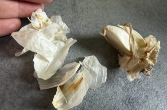 Garlic skins