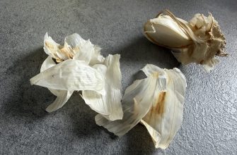 Garlic skins